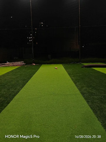 Turf photo 3