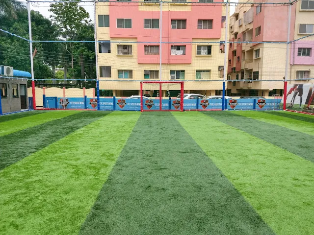 Turf photo 2