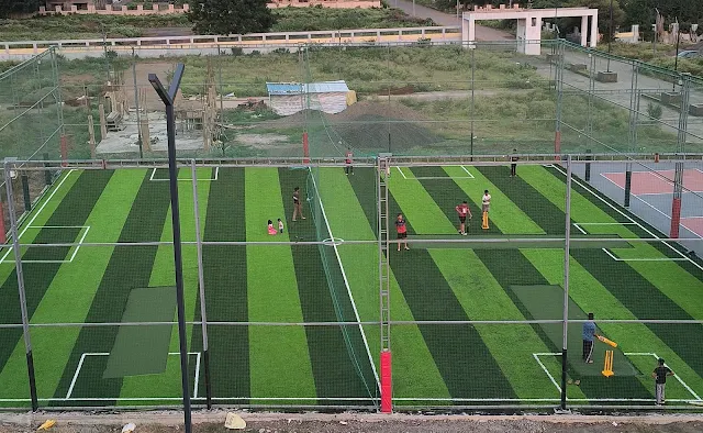 Turf photo 5