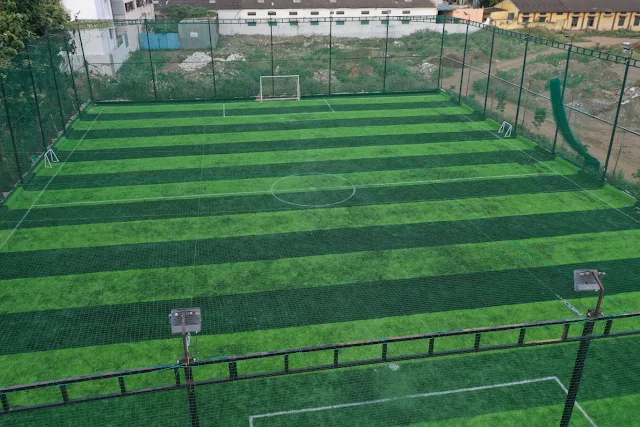 Turf photo 3