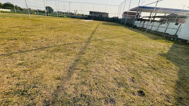 Turf photo 3