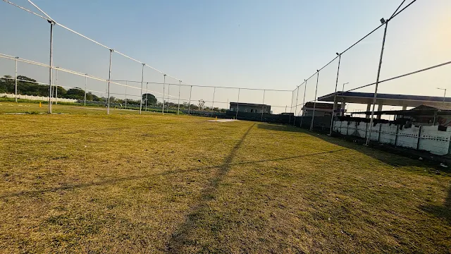 Turf photo 2