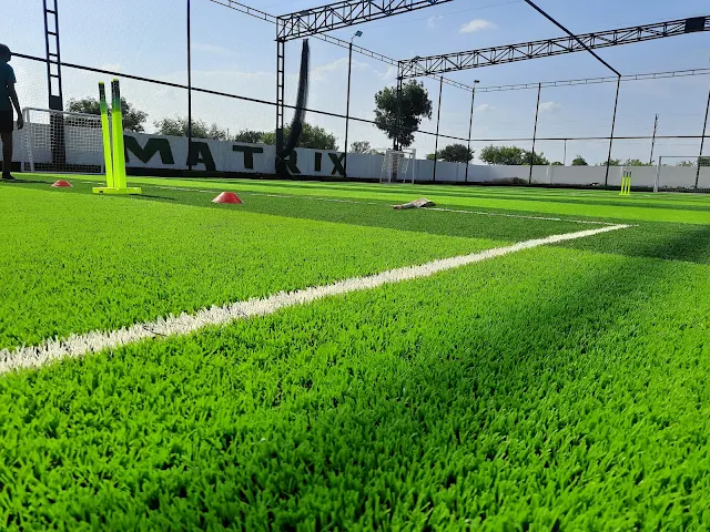 Turf photo 2