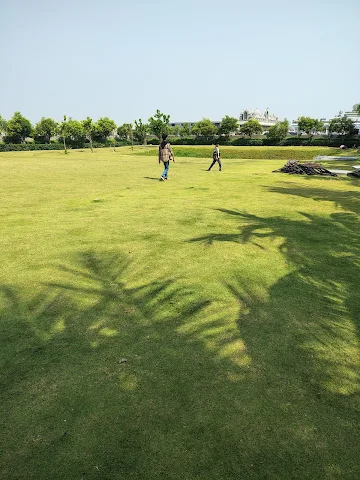 Turf photo 2