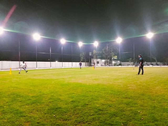 Turf photo 8