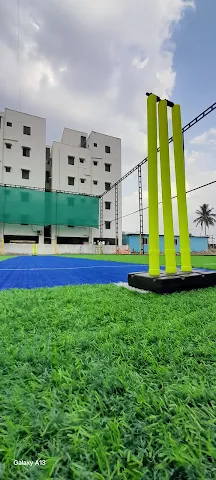Turf photo 2