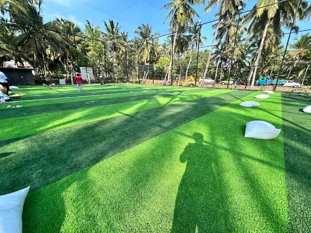 Turf photo 2