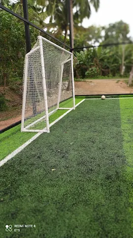 Turf photo 6