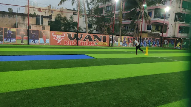 Turf photo 2