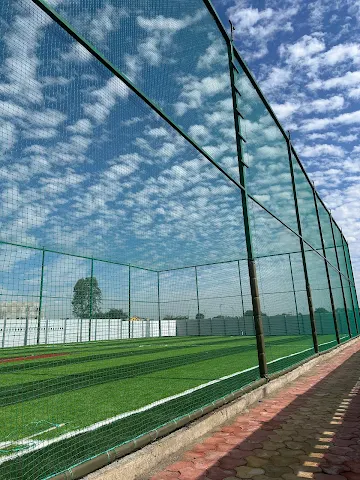 Turf photo 2