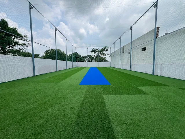 Eden Cricket Turf