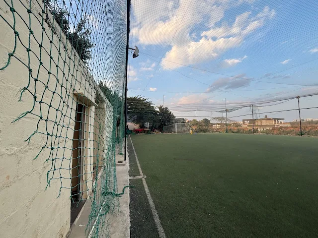 Turf main photo