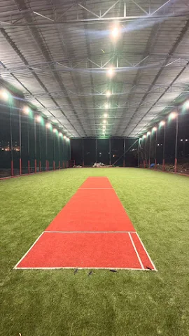 Turf photo 6