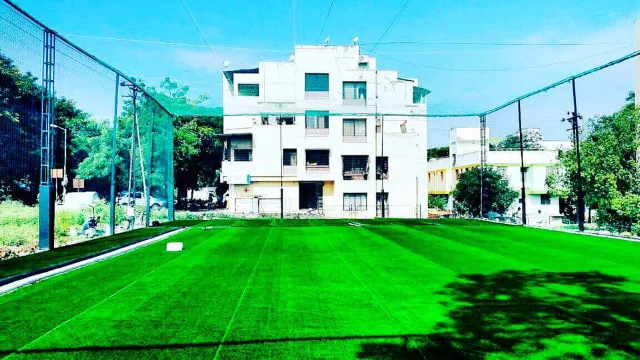 Turf photo 5