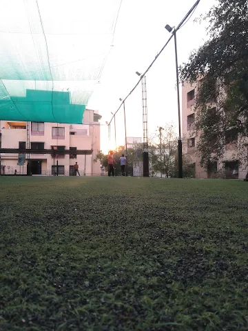 Turf photo 7