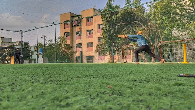 Turf photo 8