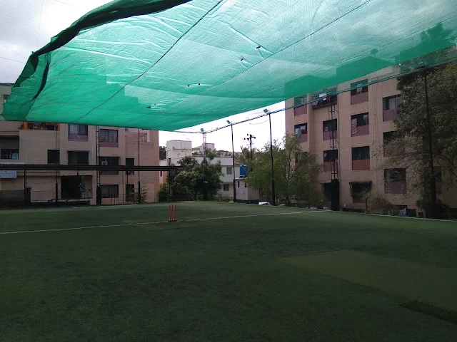 Turf photo 3