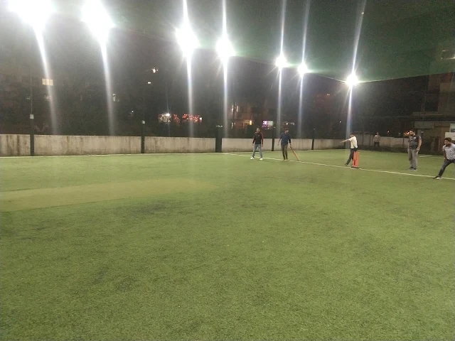 Turf photo 10