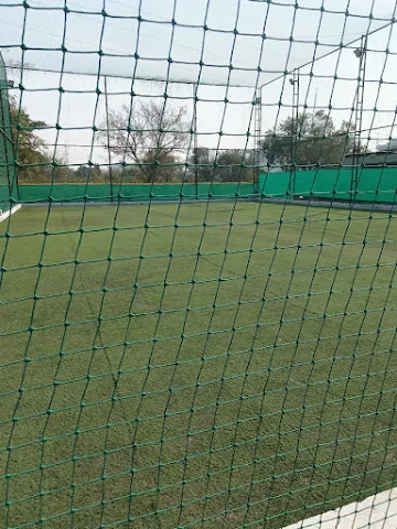 Turf photo 6