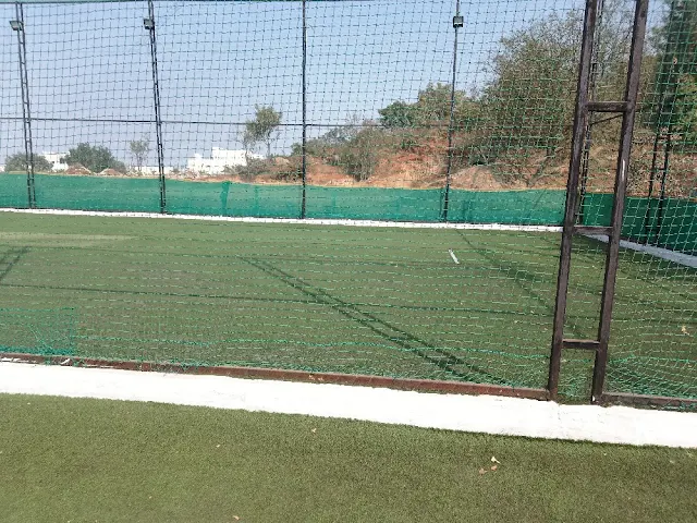 Turf photo 9