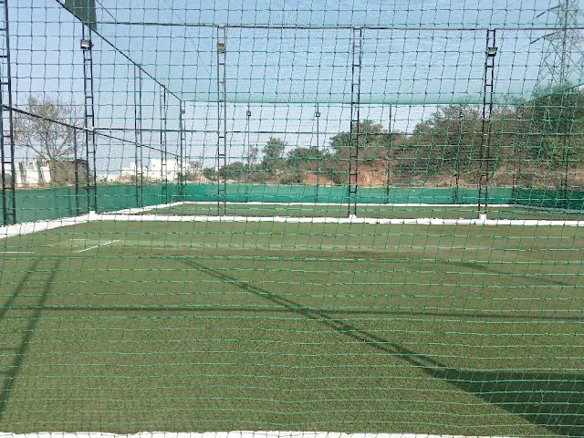 Turf photo 8