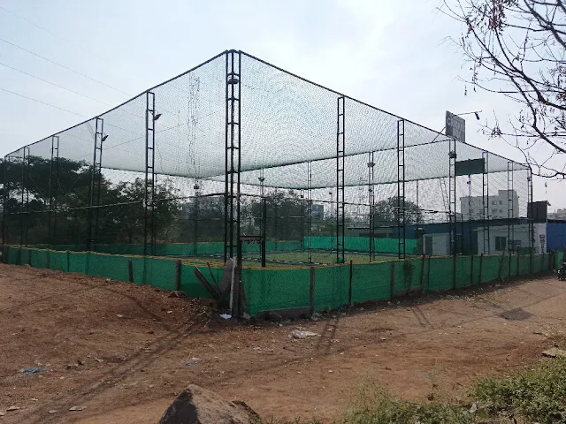 Turf photo 5