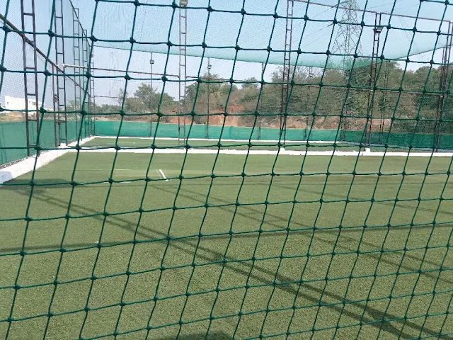 Turf photo 7