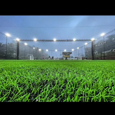Turf photo 2