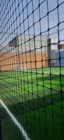 Turf photo 6