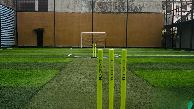 Turf photo 2