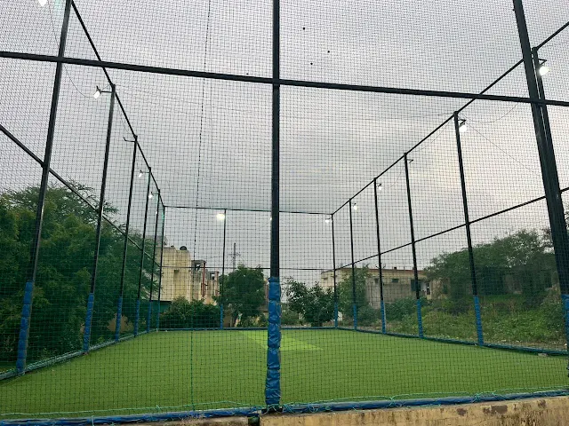 Turf photo 2