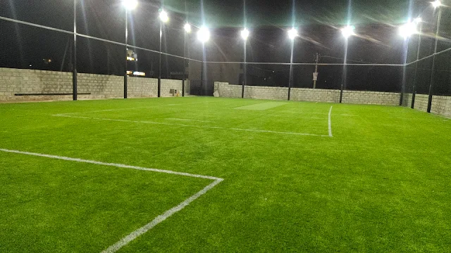 Turf photo 2