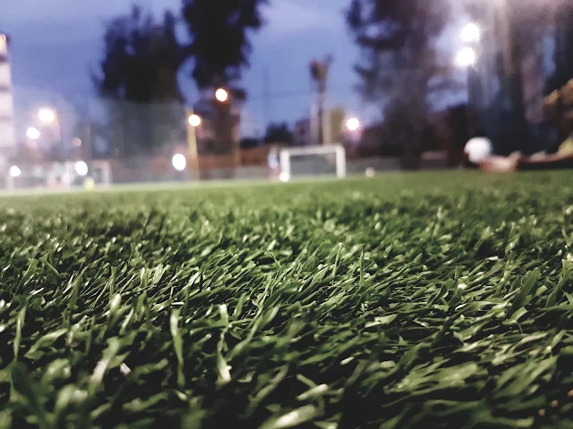 Turf photo 5