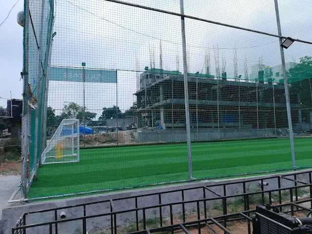 Turf photo 4