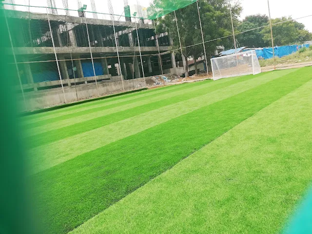 Turf photo 9