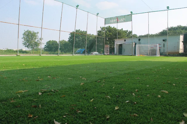 Turf photo 12