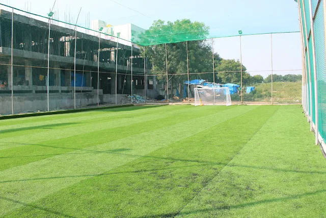 Turf photo 2