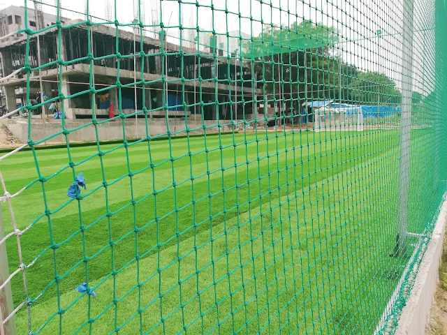Turf photo 7