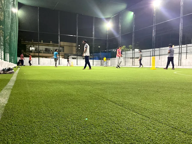 Turf photo 2