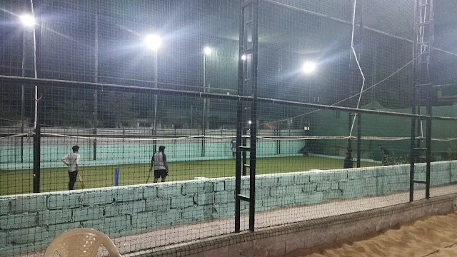 Turf photo 5