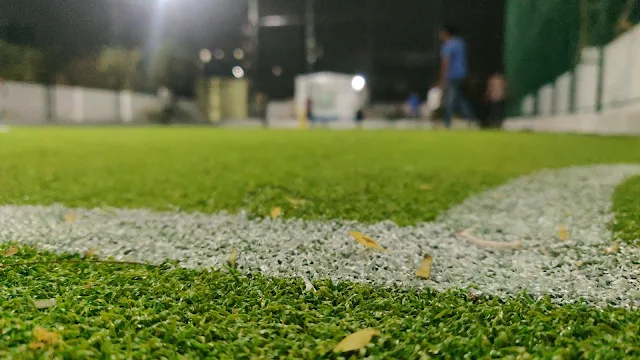 Turf photo 3