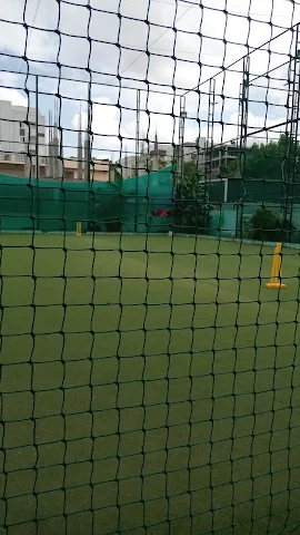 Turf photo 9