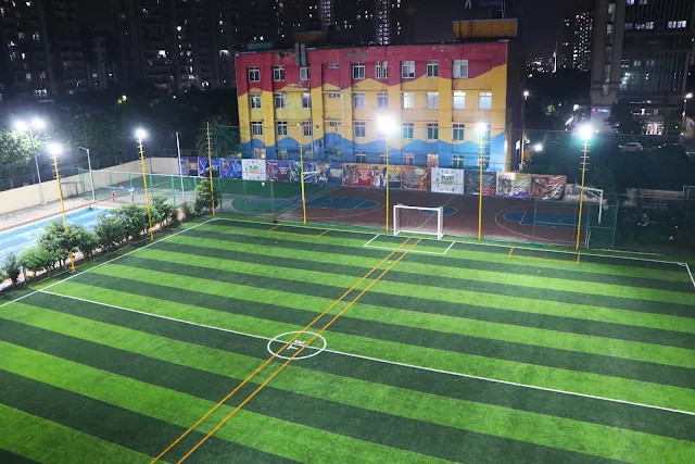 Turf photo 2