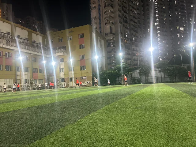 Turf photo 3