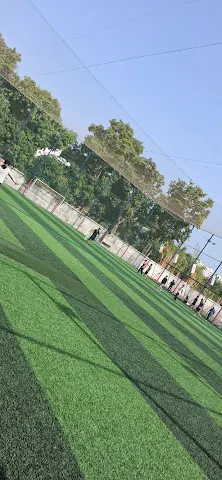 Turf photo 2