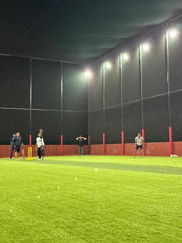 Turf photo 2
