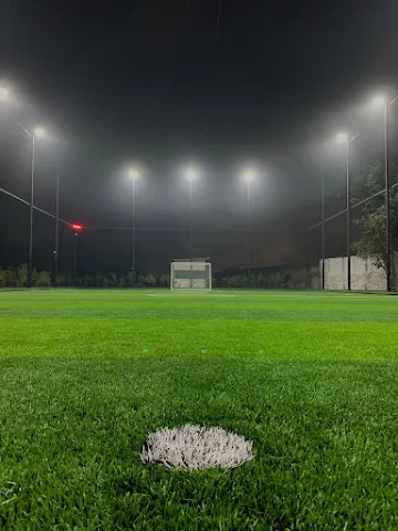 Turf photo 5