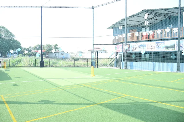 Turf photo 7