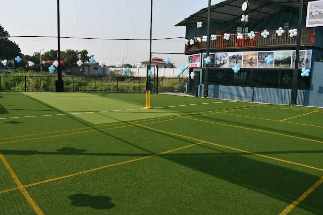 Turf photo 6
