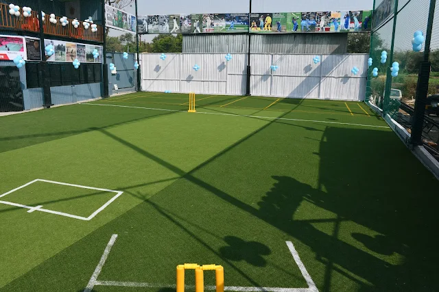 Turf photo 5